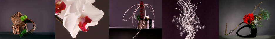 Frise de présentation