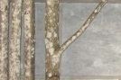 Photo11